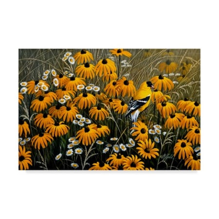 Wilhelm Goebel 'Summer Gold' Canvas Art,22x32